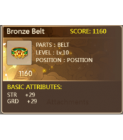 Bronze Belt