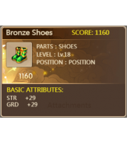 Bronze Shoes